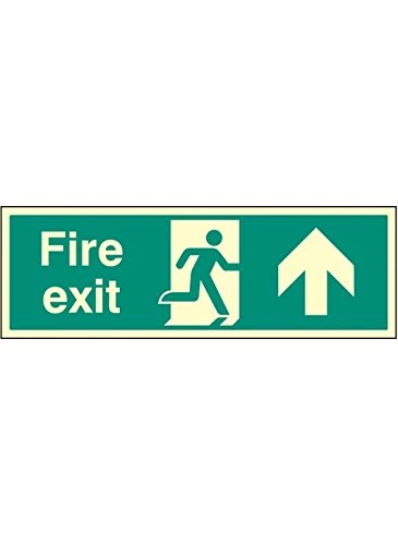 Caledonia Signs 52125 Sign, "Fire Exit up Single Sided", 900 mm x 300 mm, Photo luminescent