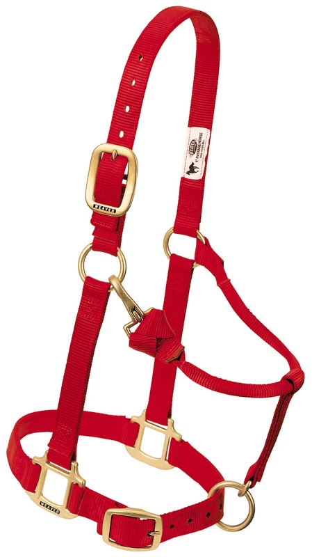 Weaver Leather Nylon Adjustable Draft Horse Halter - 1 inch Red