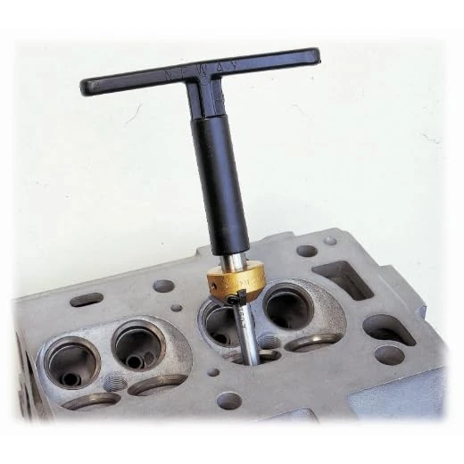 Forza – Box of 11 Strawberries for Grinding Valve