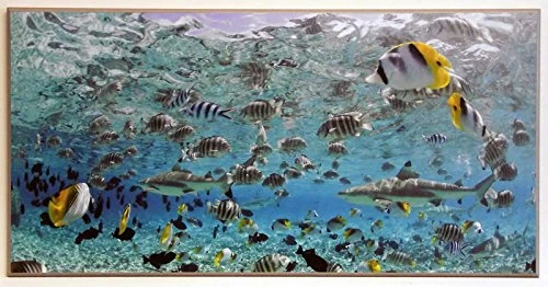 ERGO-PAUL 2MW337 PL 150 101X51 Black Tip Sharks and Tropical Fish In Bora Bora Lagoon Paper/MDF, Colorful, 101.0 x 51.0 x 1.2 cm - Image 1