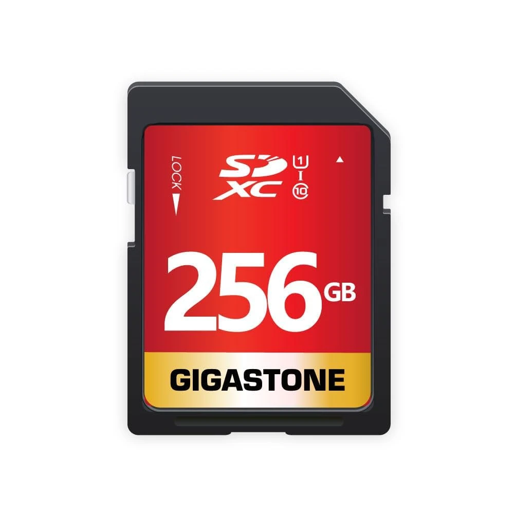Gigastone 256GB SD Card UHS-I U1 Class 10 SDXC Memory Card for Full HD Video Canon Nikon Sony Panasonic Digital Camera, with 1 Mini case