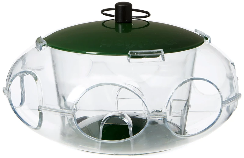 Peckish 60053061 Bird Seed Feeder for Small Birds, 24.8 x 14.8 x 5.4 cm, Green