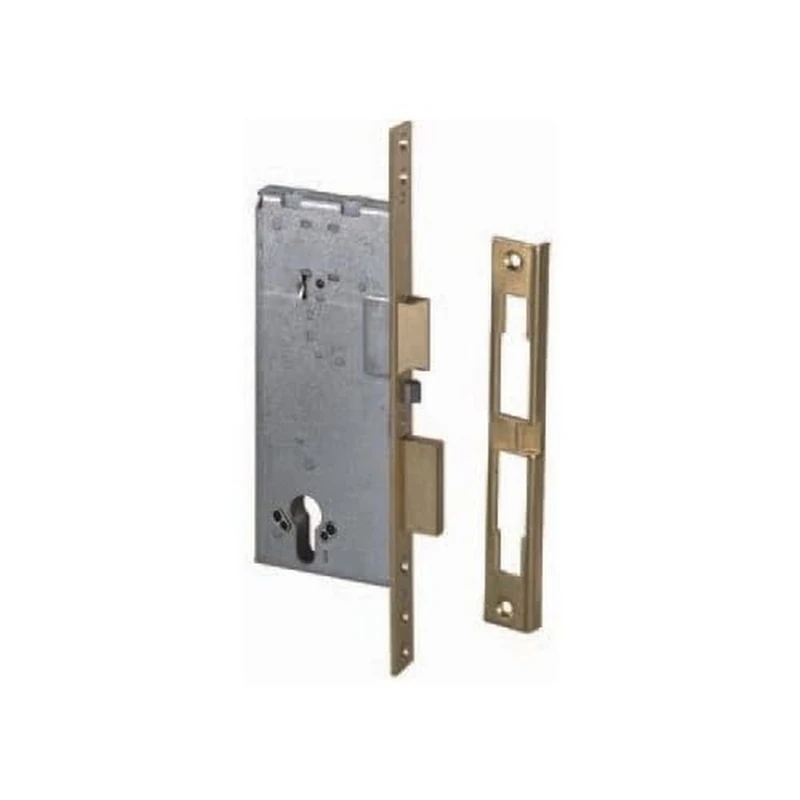 CISA 12015 Mortise Electrolock, Satin Brass, Entrata 50