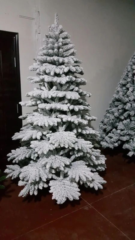 7ft Alaskan Pine Real Christmas Tree covered in Snow Dust