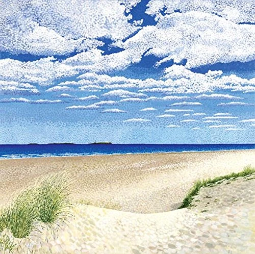 Susan Entwistle Art "Farne Islands Limited Edition Canvas, Multi-Colour, 50 x 50 cm - Image 1