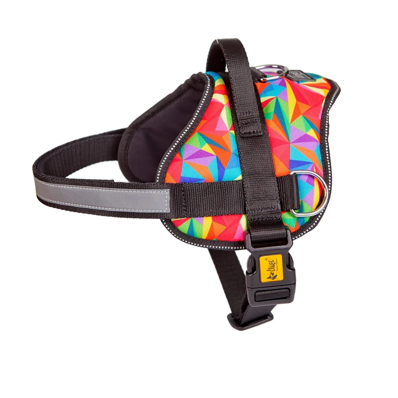 Dingo Patterned Harness for Dog Handmade in America Colorado Style 15814