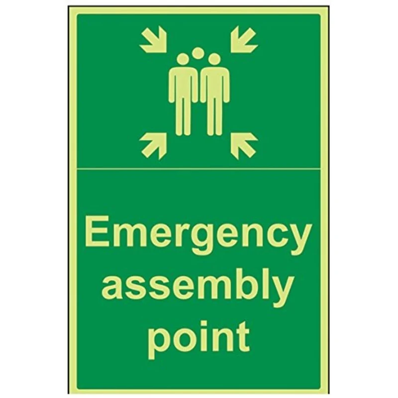 VSafety 17016BH-G Fire Assembly Point Sign, Emergency Assembly Point", Plastic, Portrait, 400 mm x 600 mm, Green