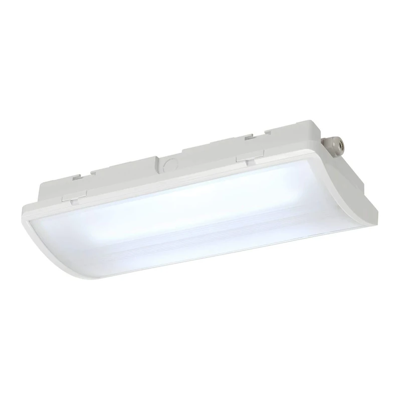 SLV Wall and Ceiling-Mounted Light P-Light/Lighting for Walls, Paths, entrances, LED Spotlight Outdoor, Ceiling Spotlight / IP65 6000K 6.5W 100lm White 110 Degrees