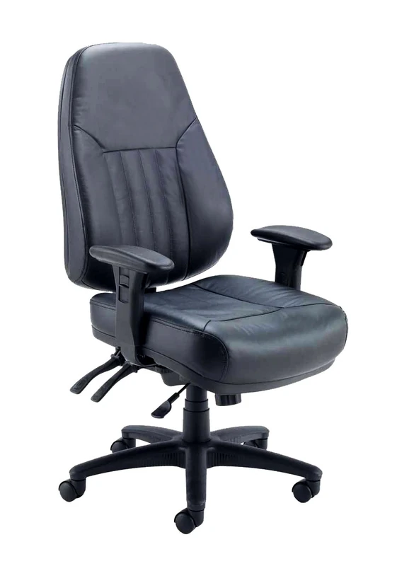 Office Hippo Professional 24 High Back Office Chair, 150 kg Weight Tolerance, 2D Arms, Asynchro Mechanism, Ratchet Back, Leather, Black