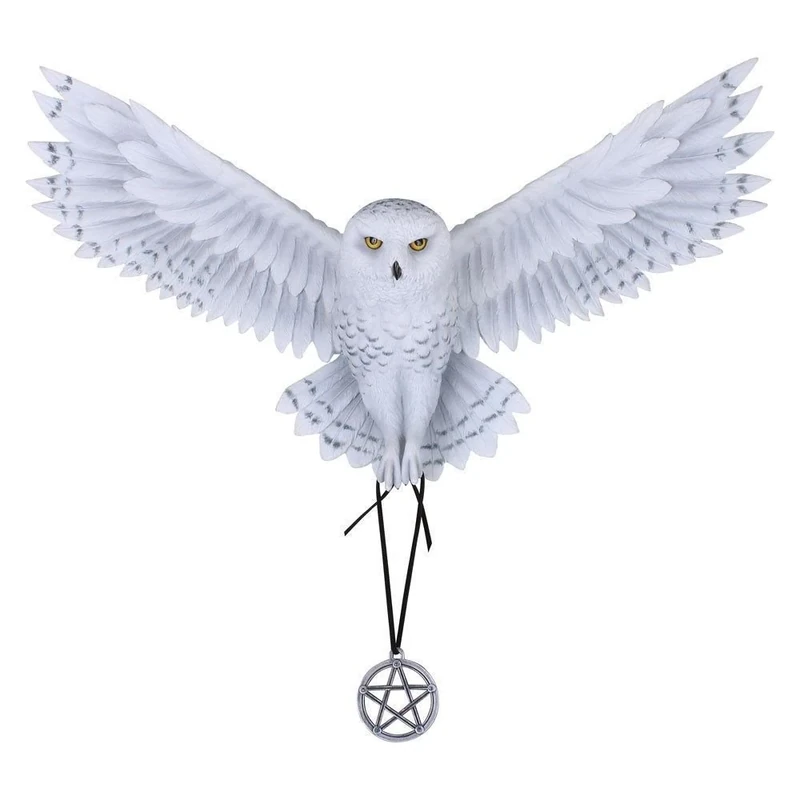 Nemesis Now Awaken your Magic Anne Stokes Wall Plaque 45cm White, Resin, One Size