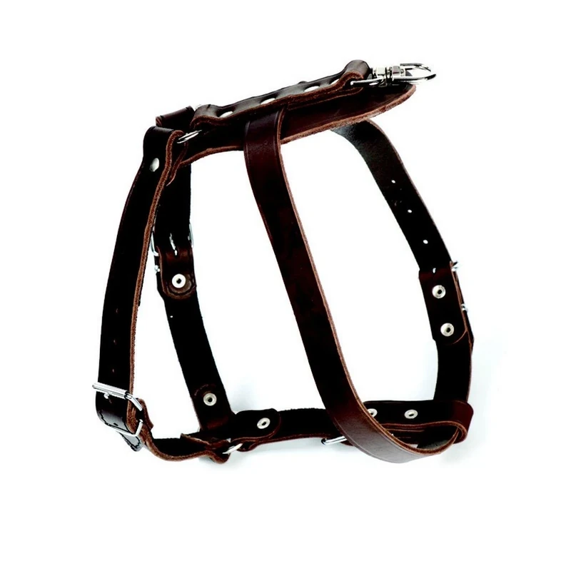 Dingo Leather Harness for Tracking, Seeking Scents and Dog Fieldwork, Guard Type, Brown 10675