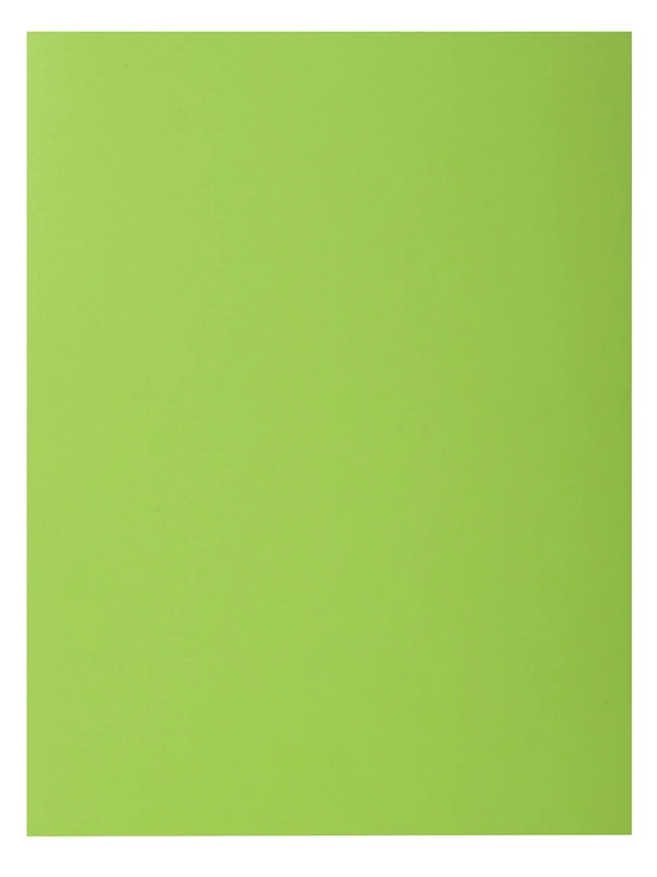 Exacompta - Ref 216013E - Rocks Collection - 2-Flap Folders - 240 x 320mm in Size, Suitable for A4 Documents, 210gsm Material, 2 Fold-Over Flaps - Green (Pack of 50)