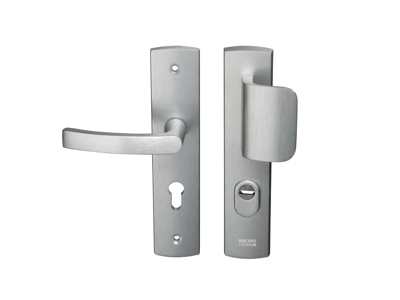 Bricard 9920051 Stainless Steel Shielded Handles on Plate for Entrance Door Stand and Spoiler for European Cylinder