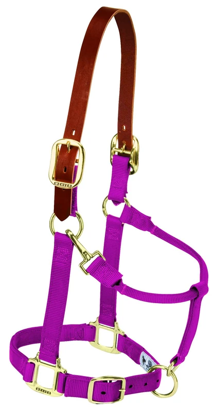 Weaver Leather Nylon Adjustable Breakaway Horse Halter, Yearling, Raspberry