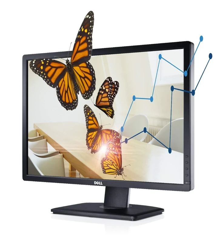 Dell UltraSharp U2412M 24 inch LCD TFT Monitor (16:10, 1920x1200, 300 cd/m2) (Renewed),Black