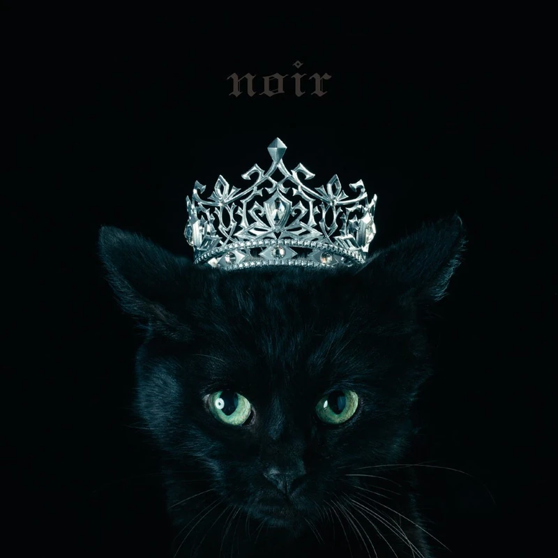 Best Selection `Noir` - Image 1
