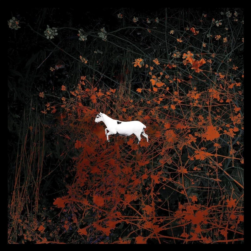 Prédateurs (Ltd.Complete Box) [VINYL]