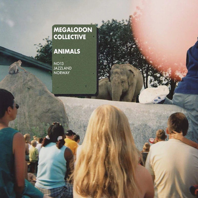 Animals [VINYL] - Image 1