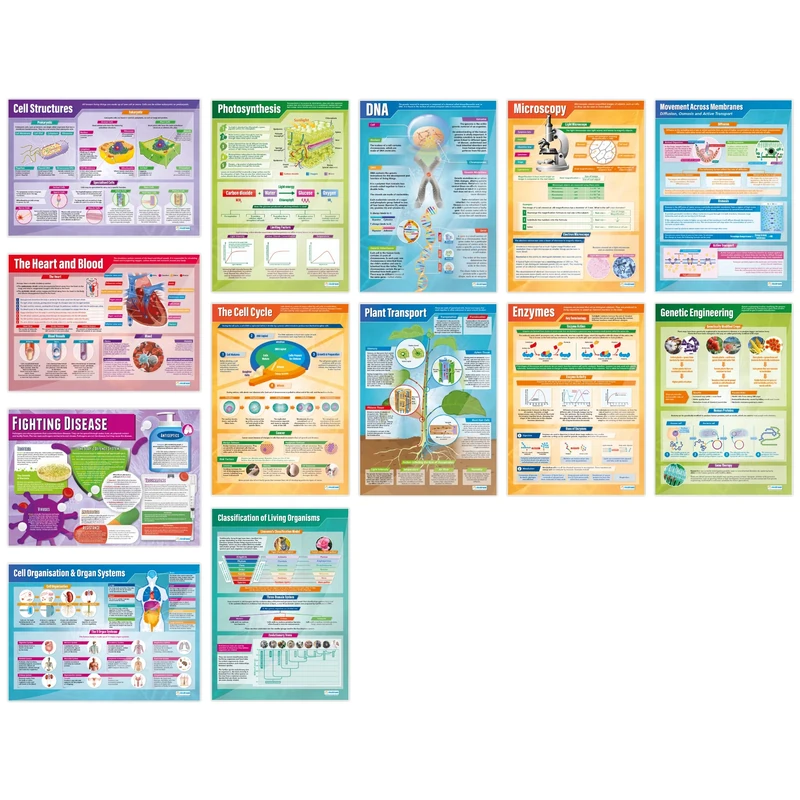 Daydream Education Biology Science Posters - Set of 13 - EXTRA LARGE A1 (850mm x 594mm) - Laminated - Science Secondary School Wall Charts for the Classroom