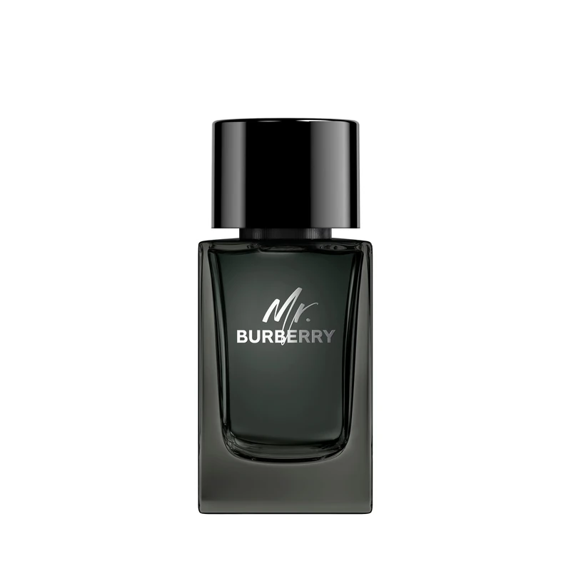 BURBERRY Eau De Parfum for Men, 100 ml
