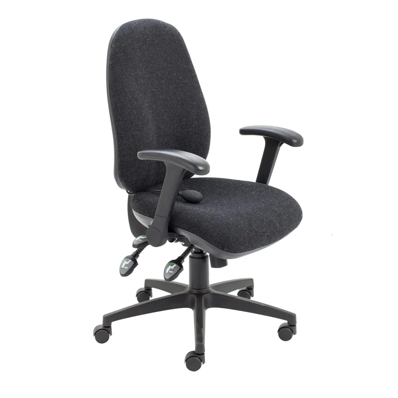 Office Hippo Physio Approved Desk Chair, Ergonomic Home & Office Chair With Adjustable Seat, Back & Lumbar Pump For Comfort & Support, Computer Chair With Flip Up Arms - Charcoal