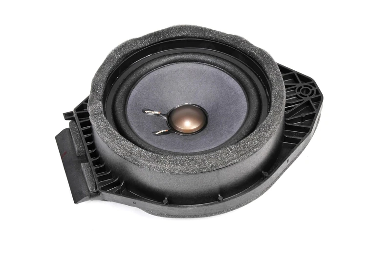 ACDelco GM Original Equipment 84190346 Rear Side Door Speaker - Image 1