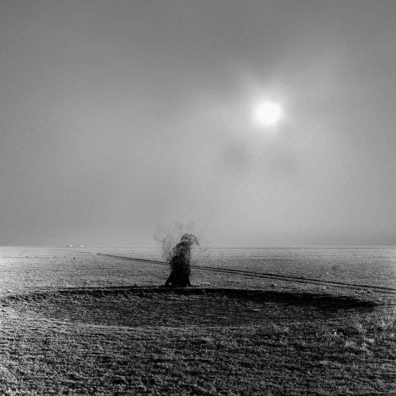 Heights In Depths [VINYL]