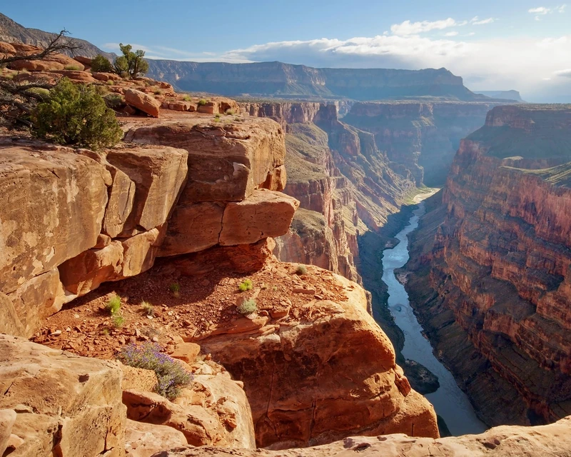 Wall Rogues WR50567 3 x 2.4 m "Grand Canyon" Mural Wallpaper - Orange