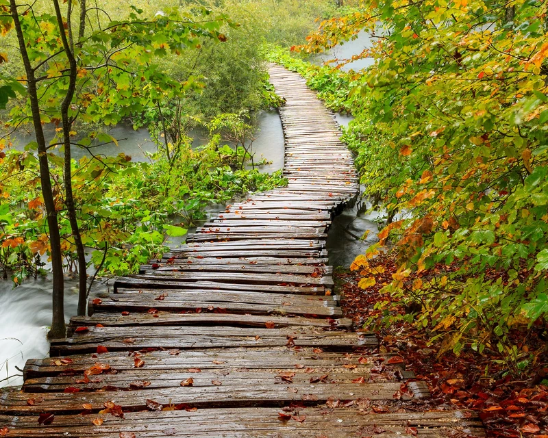 Wall Rogues WR50530 3 x 2.4 m "Path to Enlightenment" Mural Wallpaper - Green - Image 1