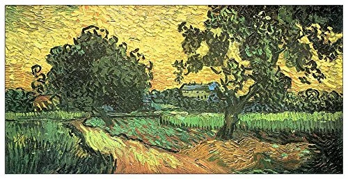 ArtPlaza Van Gogh Vincent-Landscape with Castle Auvers at Sunset Decorative Panel, Wood, Multi-Colour, 140 x 1.8 x 70 cm