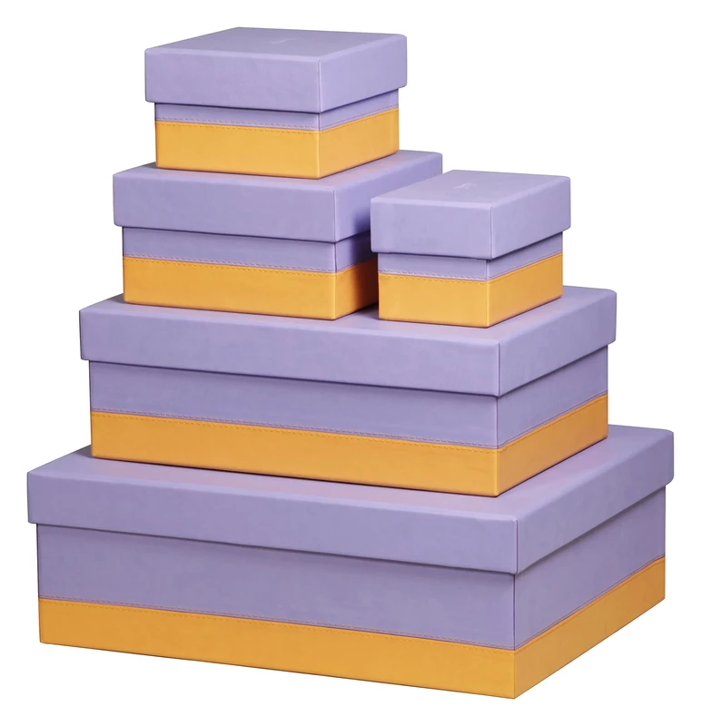 RHODIA 318889C - Set of 5 Iris Nesting Boxes - Orange Saddle Stitching - Faux Leather Exterior - Rhodiarama Home Office Collection - Office Organization & Designer Storage