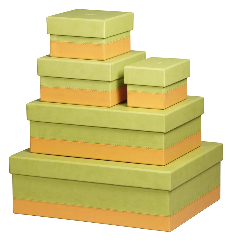 RHODIA 318886C - Set of 5 Anis Nesting Boxes - Orange Saddle Stitching - Faux Leather Exterior - Rhodiarama Home Office Collection - Office Organization & Designer Storage