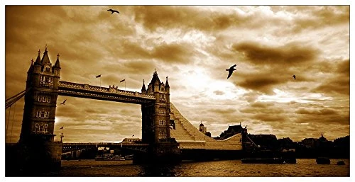 ArtPlaza Art Studio-London Decorative Panel, Wood, Multi-Colour, 100 x 1.8 x 50 cm