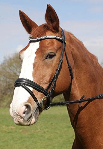 Rhinegold Anatomic Bridle - Pony - Havana