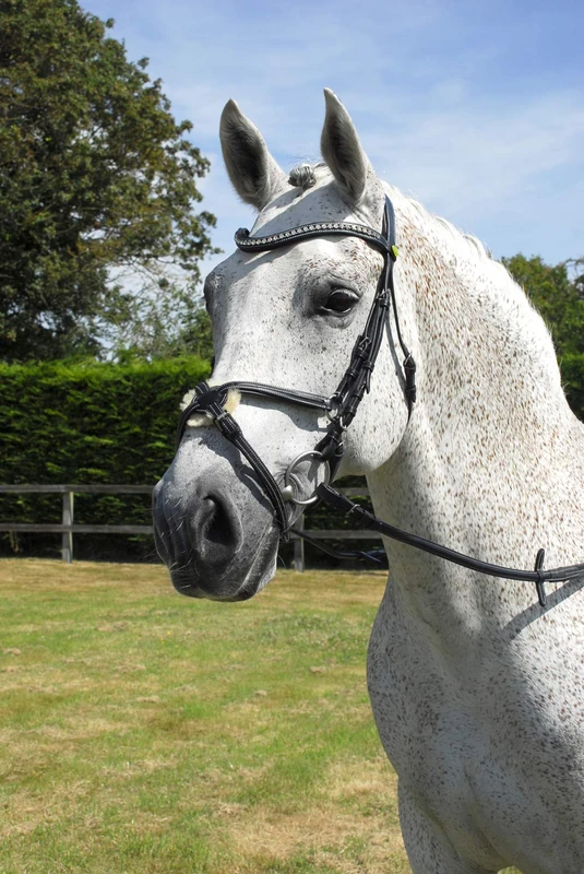Rhinegold Anatomic Mexican Bridle - Full - Black
