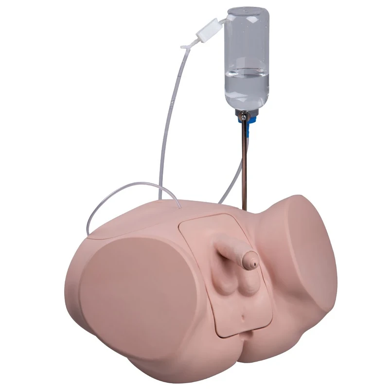 3B Scientific P93P-M Pro Male Catheterization Simulator