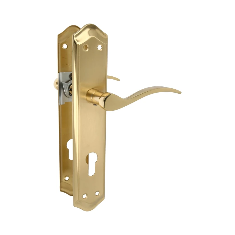 Amig - Plate Handle Set | Suitable for Interior and Exterior Passage Doors with Crank Comfortable, Elegant and Timeless | with Keyhole | Brass | Gold Colour | 256 x 48 mm
