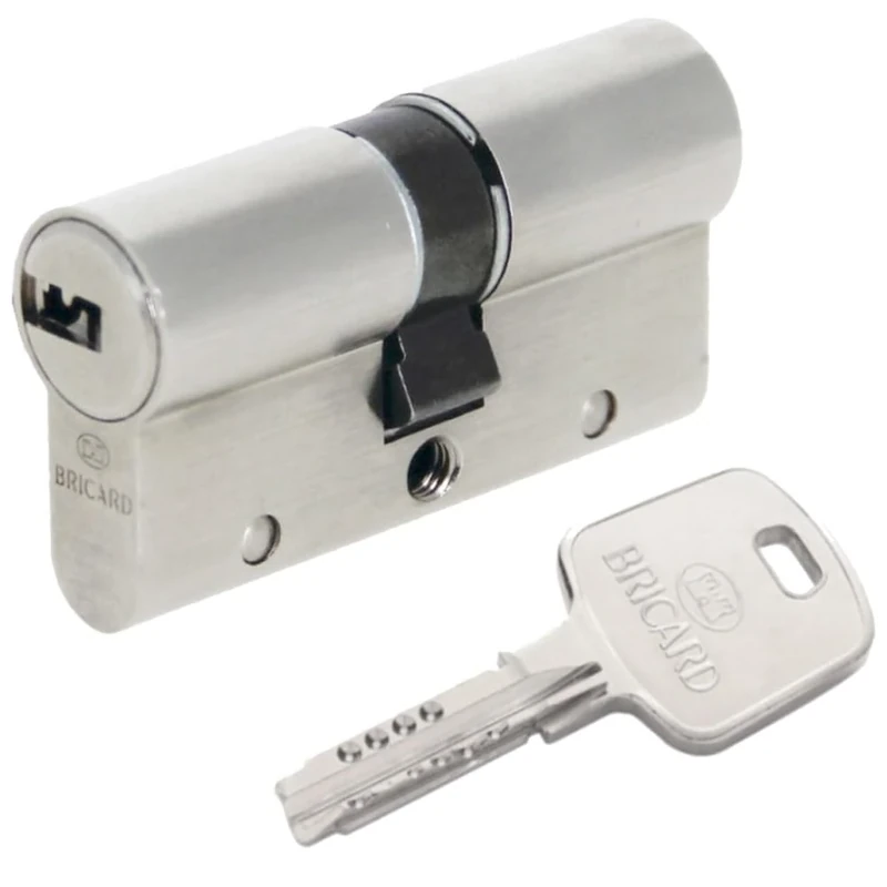 BRICARD 18001 Cylinder Lock Nickel-Plated Dual Serial Input XP 30 + 30