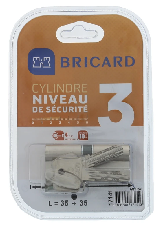 BRICARD 17141 9 in Nickel-Plated Brass Cylinder Astral 2, 10 Pieces, 2 inputs + 35 Personal Drill, Protection, and Pick Card