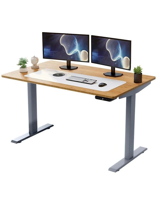 RISE UP Dual Motor Electric Standing Desk 60x30" Solid Bamboo Desktop Premium Ergonomic Adjustable Height Sit Stand Up Home Office Computer Desk Table Motorized Powered Modern Furniture Small Standup