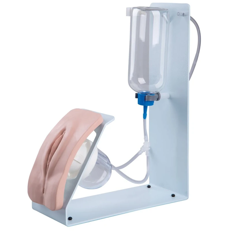 3B Scientific Medical Simulators - Catheterisation Simulator BASIC, female