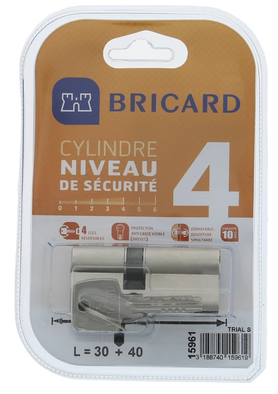 BRICARD 15961 Trial S Cylinder Nickel-Plated 30 + 40, Dual Input, Security Level 4 Reversible Keys Breakage Resistance and Resistance. Resistant to Drilling, Picking and Bumping