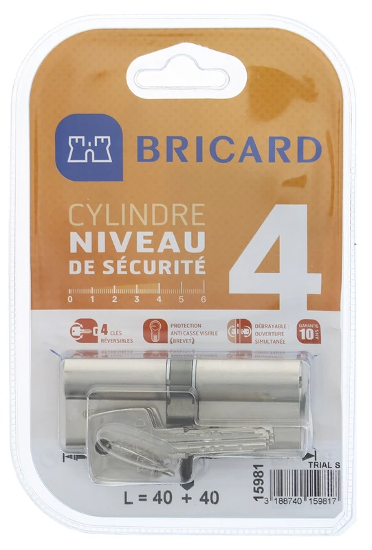 BRICARD 15981 Trial S 40 + 40 Nickel-Plated Double Entry Level Security Cylinder 4 Reversible Keys Breakage Resistance and Resistance. Resistant to Drilling, Picking and Bumping