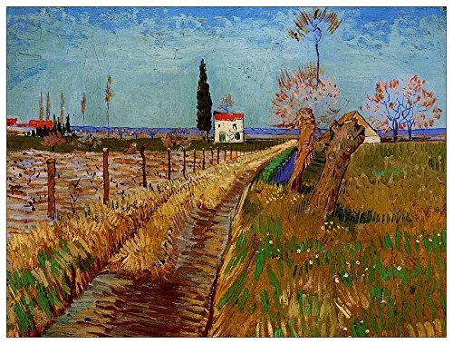ArtPlaza Van Gogh Vincent-Path Through a Field with Willows Decorative Panel, Wood, Multi-Colour, 80 x 1.8 x 60 cm