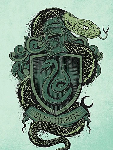 Pyramid International HARRY POTTER Large Canvas Print Slytherin 60cm x 80cm - Official Merchandise