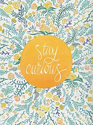 The Art Group "Stay Curious Cat Coquillette Canvas Print, Multi-Colour, 60 x 80 x 1.3 cm