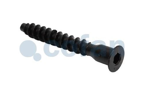 Cofan 01050750Z Zinc Plated Screw 7 x 50mm