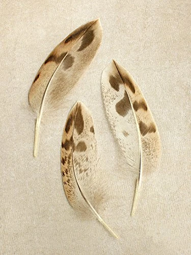 The Art Group "Mallard Feather Trio Alyson Fennell Canvas Print, Multi-Colour, 60 x 80 x 1.3 cm