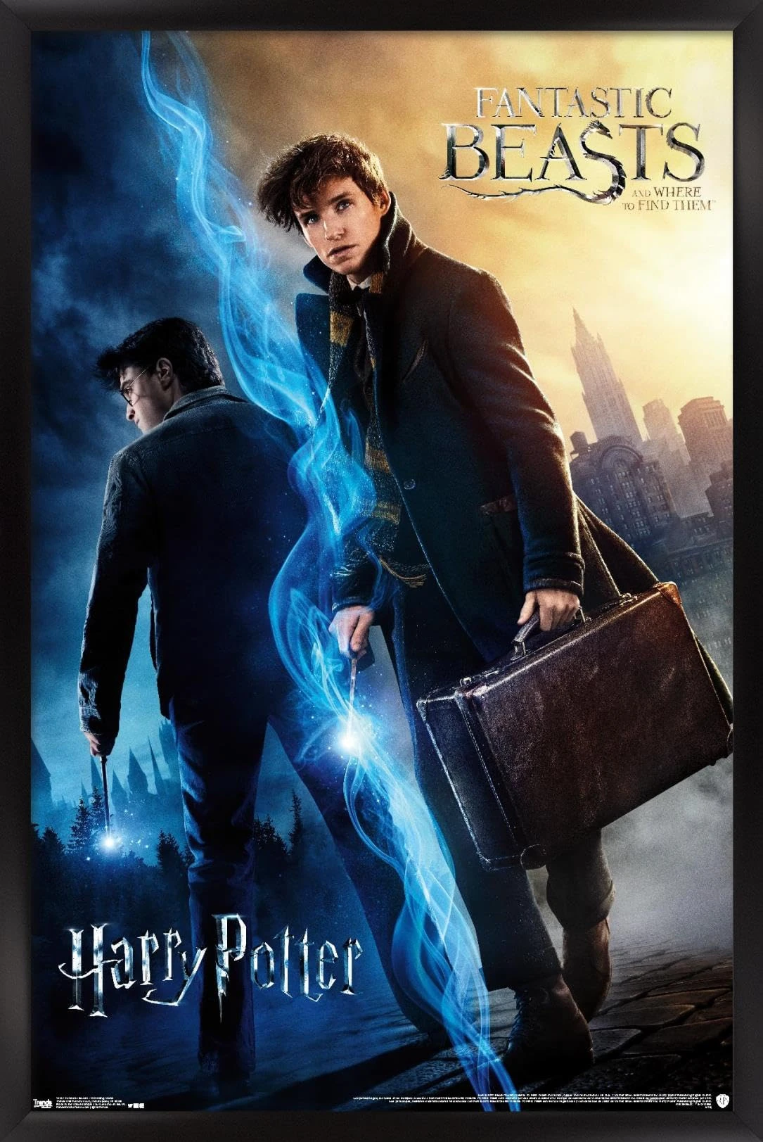 Trends International The Wizarding World: Harry Potter and Fantastic Beasts Wall Poster, 22.375" x 34", Black Framed Version