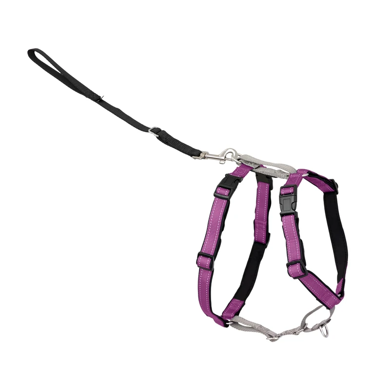 PetSafe 3 in 1 Harness and Car Restraint, Large, Plum, No Pull, Adjustable, Training for small/medium/large dogs